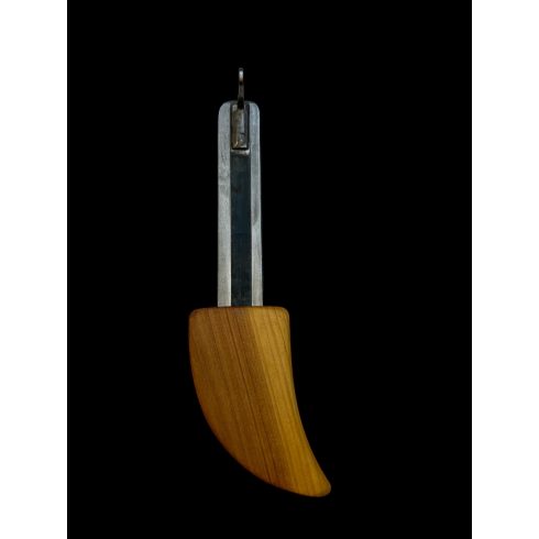 Ustinov - Holotroptron