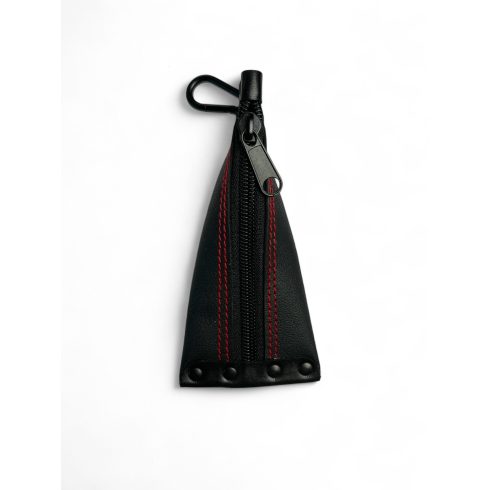 Zipper Jaw Harp Case 1