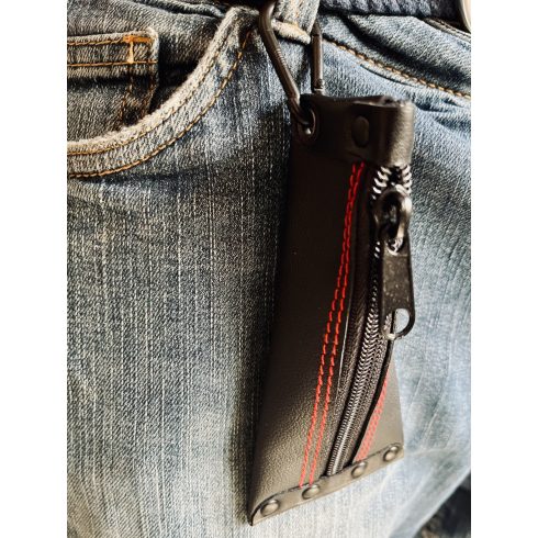 Zipper Jaw Harp Case 1