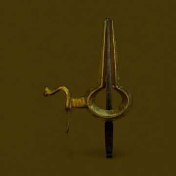 Morchang peacock, India