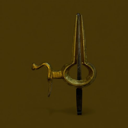 Morchang peacock, India